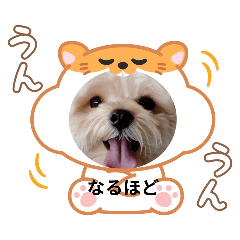 haru_20250413125413