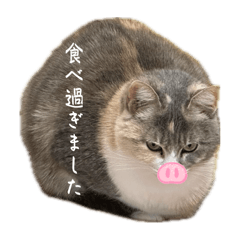 MUGI_20250413131237