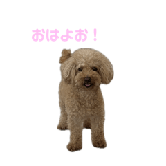 mao_20250413132309