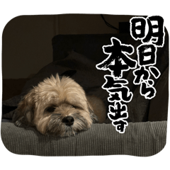 eriko_20250413133103