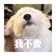 1 2 福利! Happy everyday!!! ‎♡⃛