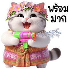 แมวสก๊อตติชสงกรานต์หรรษา