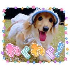 Chihiro_20250413135946