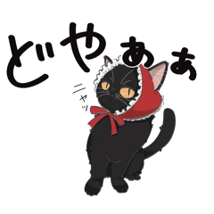 愛嬌たっぷりの猫たち3