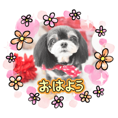 MAKO_20250413144228