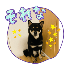mikan_20250413142952