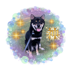 mikan_20250413143932