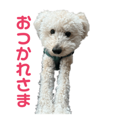 saya_20250413172649