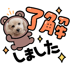 RIKU_20250413172035
