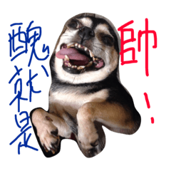 臘腸桿菌