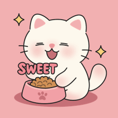 Momo the Pink Cat