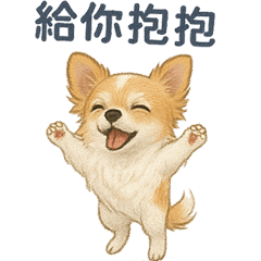馬丁吉娃娃