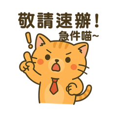 橘貓大大辦公趣