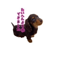 haru_20250413145241