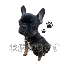 chinatsu_20250413145527