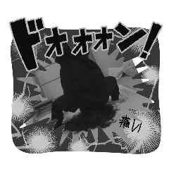 yama_20250413192841