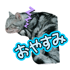 h_20250413192847