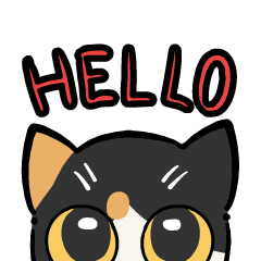 Punchy the cat