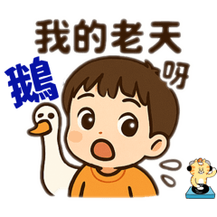 1.可愛小虎-實用16貼