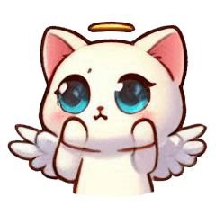 cat want to play