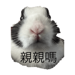 小阿周