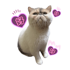 Debby_20250410105310