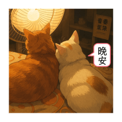 貓貓表情可愛包