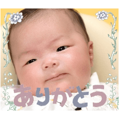 tomo_20250413180356