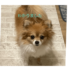 kira_20250413175812