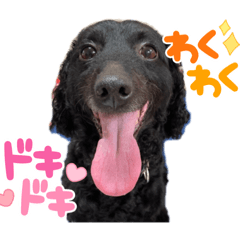 kusuke_20250413180855