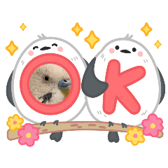 mokumoku_20250413203344