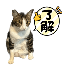 matausu