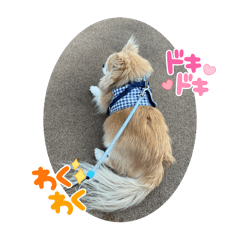 maki_20250413202941
