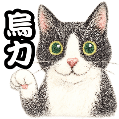 wuli_cat