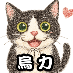 wuli_cat2