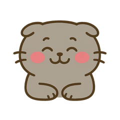 The cat named Starry Sky1