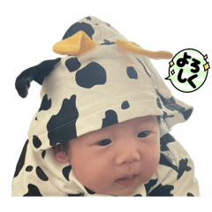 yoriwaku