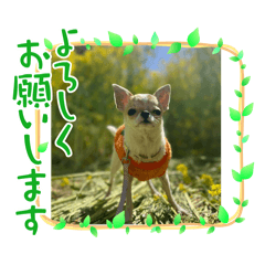 mayumi_20250413163038