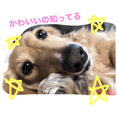 kuuchan!!!