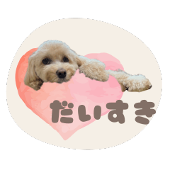 Katsudonkun