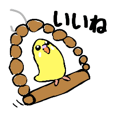 セキセイインコのうたちゃん、ボンちゃん
