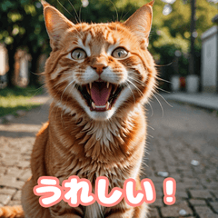 All the Cat Feels 40 Moods