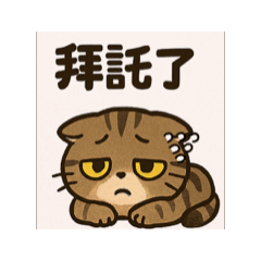 QQ咪醬の日常2