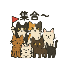 My cat's request – LINE stickers | LINE STORE