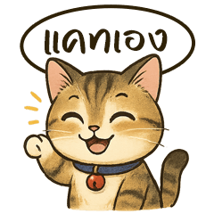 "Cat" the stray cat