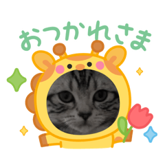 yuki_20250413170532