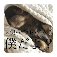 Coto_20250413170250