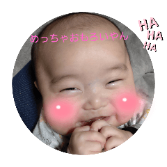 HARUMAM_20250413205443