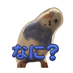 moa011923568