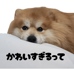 Kanako_20250412134532